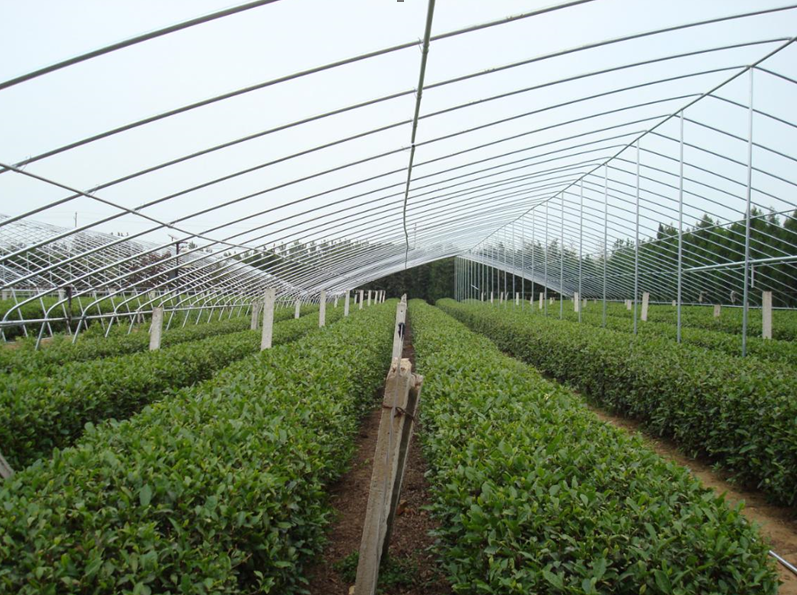 天气渐冷,瀚林春越冬防护正当时